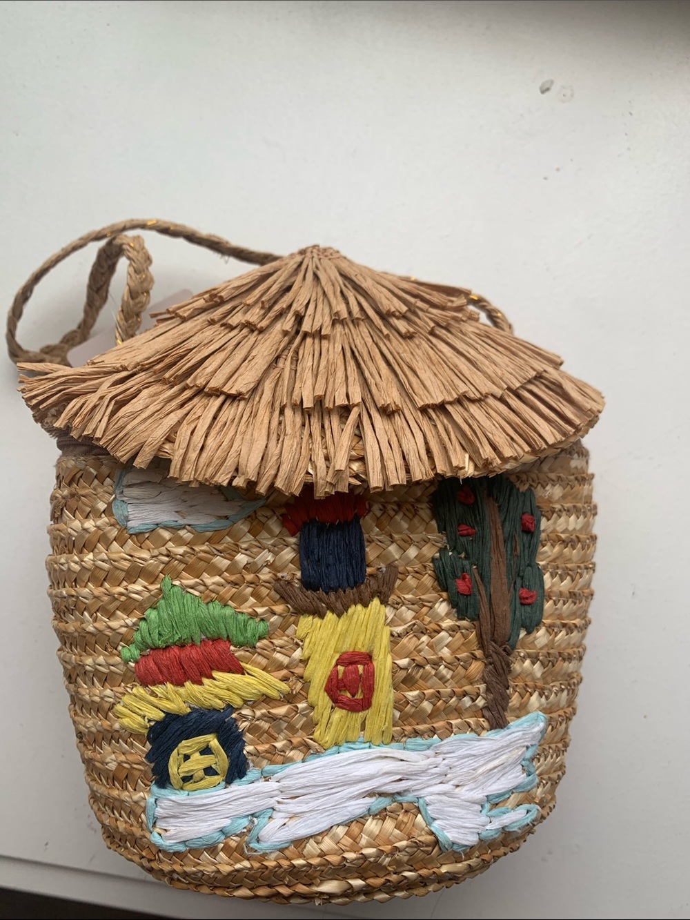 NWT Woven Handbag